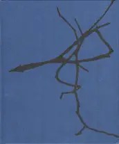 Dominic Turner - False friends