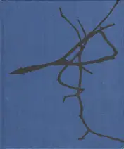 Dominic Turner - False friends