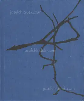 Cover of Dominic Turner - False friends