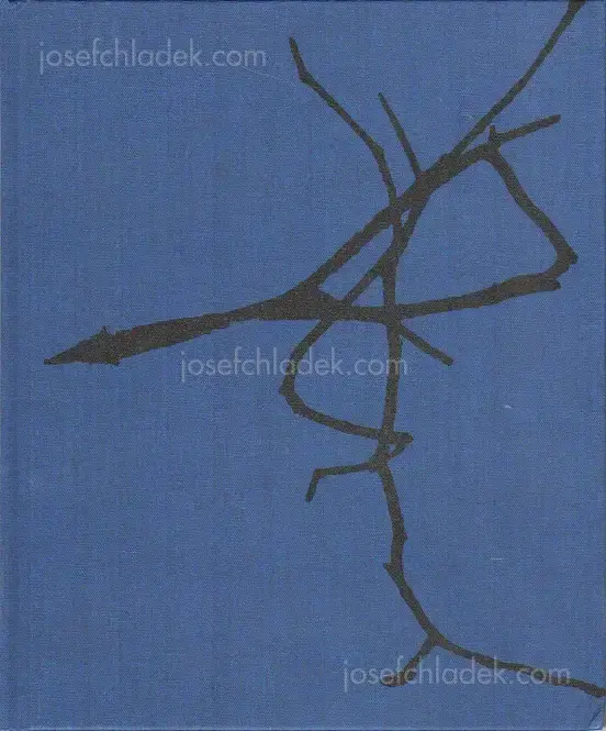 Cover of Dominic Turner - False friends