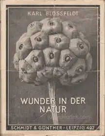 Karl Blossfeldt - Wunder in der Natur