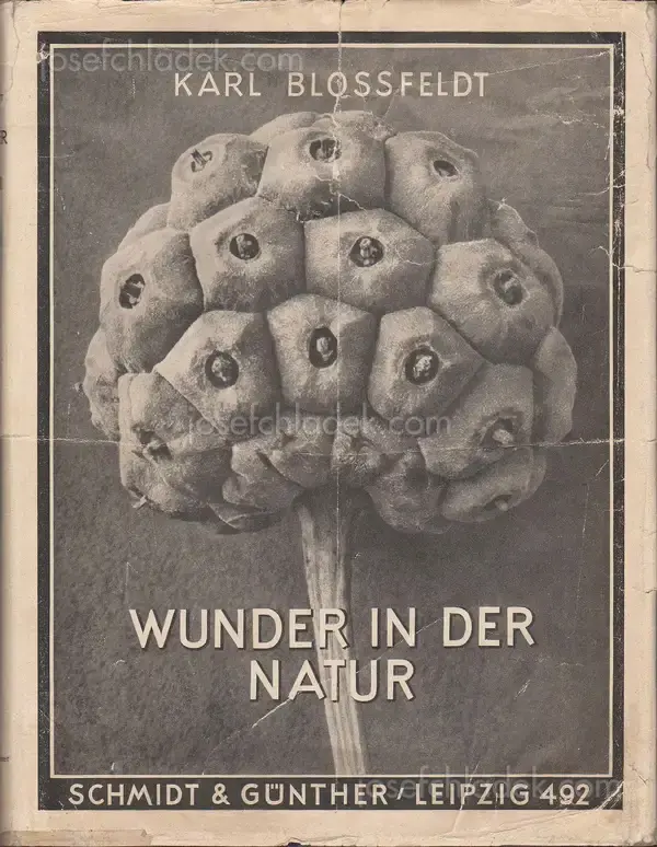 Cover of Karl Blossfeldt - Wunder in der Natur