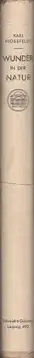 Karl Blossfeldt - Wunder in der Natur