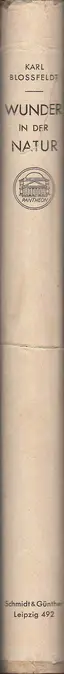 Karl Blossfeldt - Wunder in der Natur