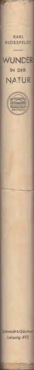 Book spine: Karl Blossfeldt - Wunder in der Natur