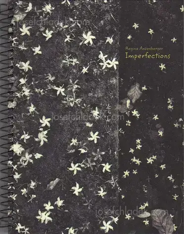 Cover of Regina Anzenberger - Imperfections