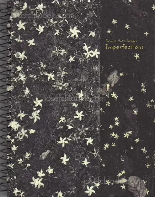 Cover of Regina Anzenberger - Imperfections