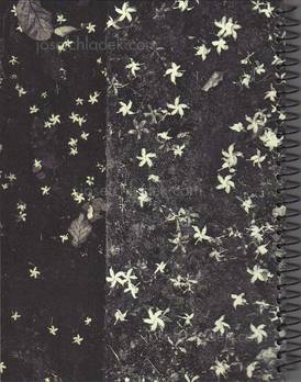  Regina Anzenberger Imperfections