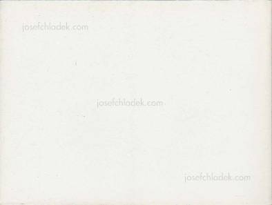 Shinkichi Tajiri De Muur