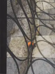 Max Zerrahn - Musical Chairs