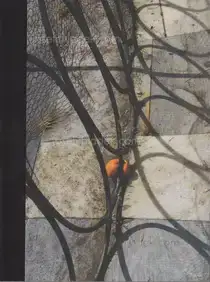 Max Zerrahn - Musical Chairs