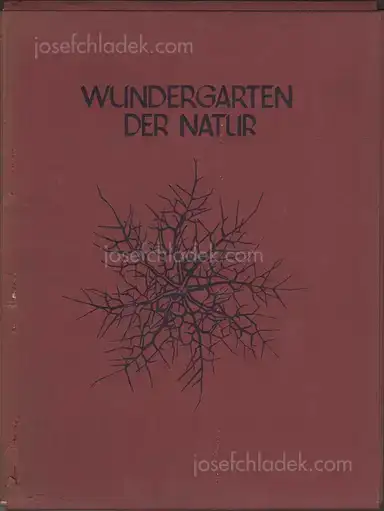 Karl Blossfeldt - Wundergarten der Natur. Neue Bilddokumente schöner Pflanzenformen Karl Blossfeldt - Wundergarten der Natur. Neue Bilddokumente schöner Pflanzenformen