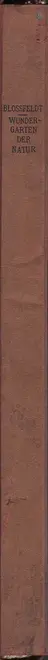 Book spine: Karl Blossfeldt - Wundergarten der Natur. Neue Bilddokumente schöner Pflanzenformen (Folio)