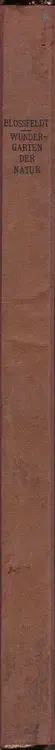 Book spine: Karl Blossfeldt - Wundergarten der Natur. Neue Bilddokumente schöner Pflanzenformen (Folio)