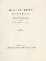 Karl Blossfeldt - Wundergarten der Natur. Neue Bilddokumente schöner Pflanzenformen - Book photo 1