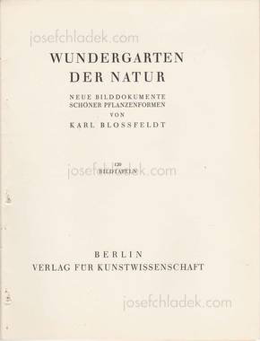  Karl Blossfeldt Wundergarten der Natur. Neue Bilddokumen...