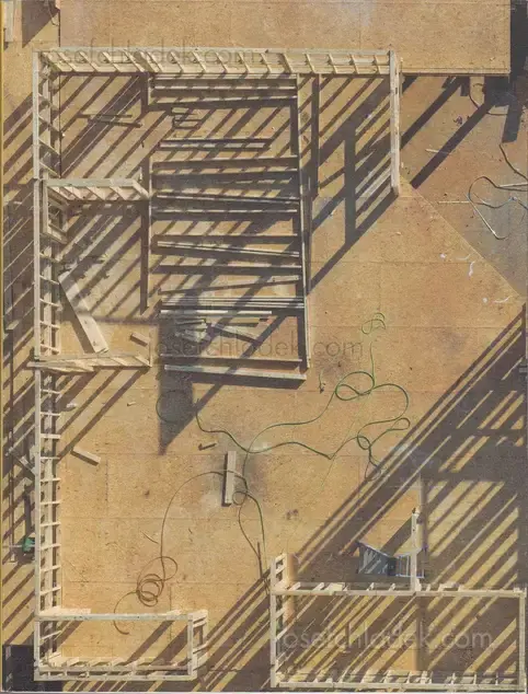 Cover of Essick Peter - Work in Progress