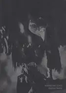 Christian Reister - Feathers and Leaves