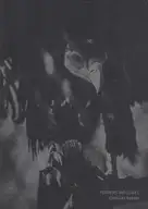 Christian Reister - Feathers and Leaves