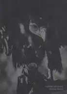 Christian Reister - Feathers and Leaves