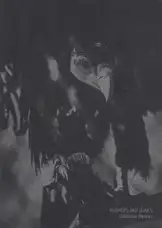 Christian Reister - Feathers and Leaves