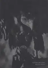 Cover of Christian Reister - Feathers and Leaves