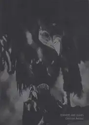 Cover of Christian Reister - Feathers and Leaves