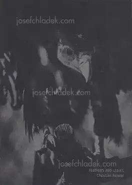 Cover of Christian Reister - Feathers and Leaves