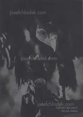 Cover of Christian Reister - Feathers and Leaves