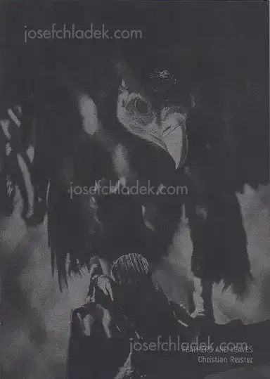 Christian Reister - Feathers and Leaves Christian Reister - Feathers and Leaves