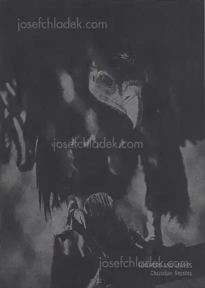 Cover of Christian Reister - Feathers and Leaves