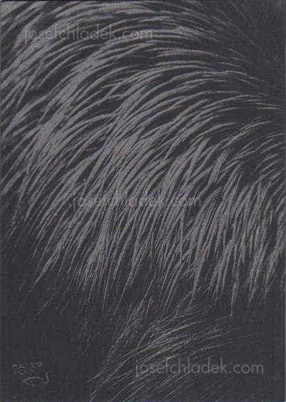  Christian Reister Feathers and Leaves