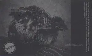 Christian Reister - Feathers and Leaves - Book photo 2