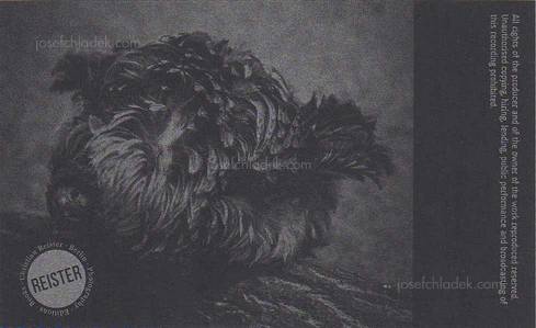  Christian Reister Feathers and Leaves