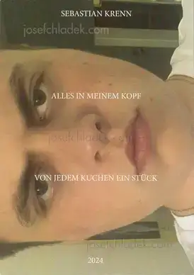 Cover of Sebastian Krenn - Alles in meinem Kopf