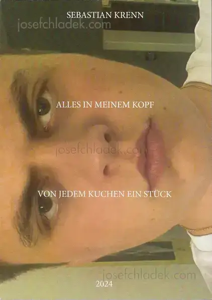 Cover of Sebastian Krenn - Alles in meinem Kopf