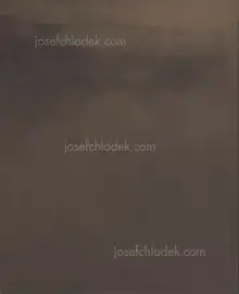 Matthew Genitempo - Jasper