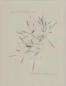 Israel Ariño - On nous a dit qu’il n’y avait rien et nous sommes allés le chercher      