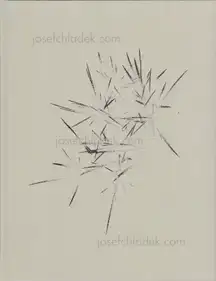 Israel Ariño - On nous a dit qu’il n’y avait rien et nous sommes allés le chercher      