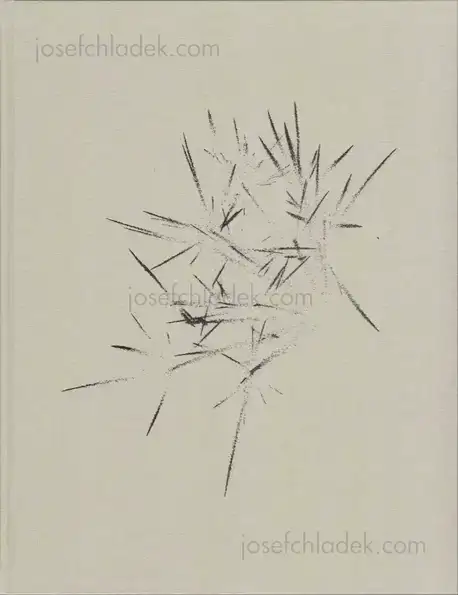 Cover of Israel Ariño - On nous a dit qu’il n’y avait rien et nous sommes allés le chercher      