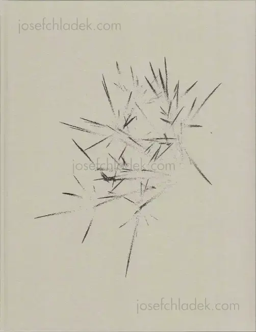 Cover of Israel Ariño - On nous a dit qu’il n’y avait rien et nous sommes allés le chercher      