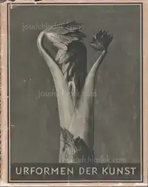 Karl Blossfeldt - Urformen der Kunst (3rd edition)