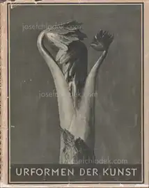 Karl Blossfeldt - Urformen der Kunst (3rd edition)