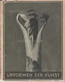Karl Blossfeldt - Urformen der Kunst (3rd edition)