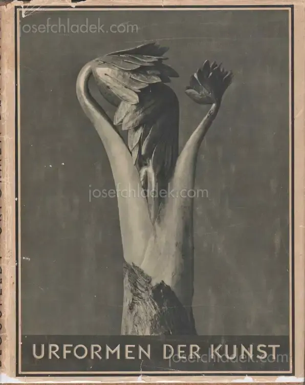 Cover of Karl Blossfeldt - Urformen der Kunst (3rd edition)