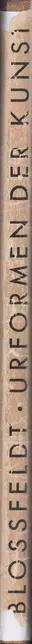 Book spine: Karl Blossfeldt - Urformen der Kunst (3rd edition)