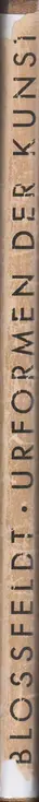 Book spine: Karl Blossfeldt - Urformen der Kunst (3rd edition)