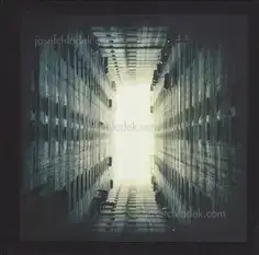 Xiaofu Wang - The Tower