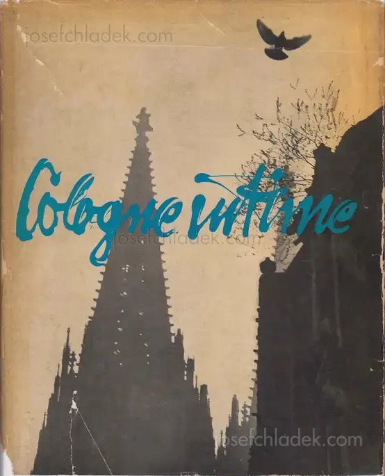 Cover of Chargesheimer - Cologne intime