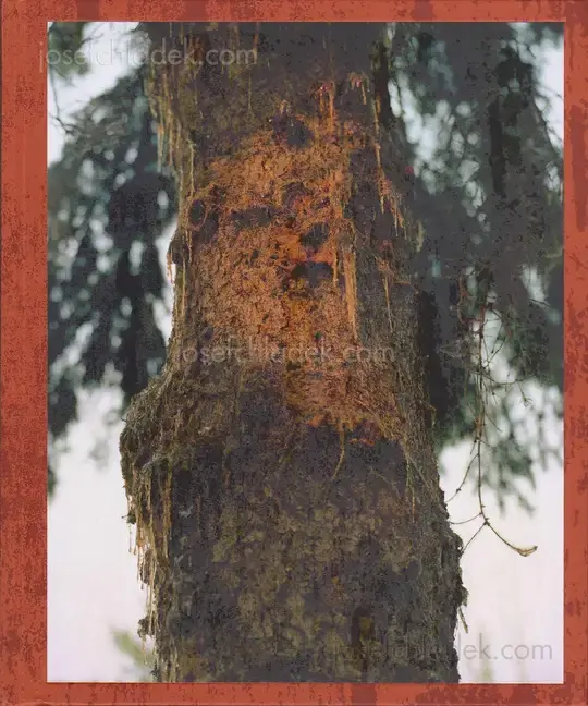Cover of Lucas Olivet - Medicine Tree